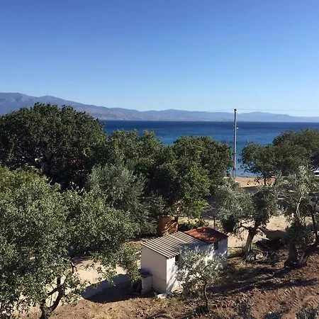 Sarnic Butik Assos