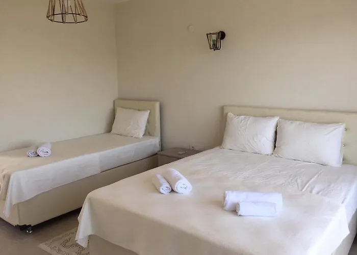 Sarnic Butik Assos